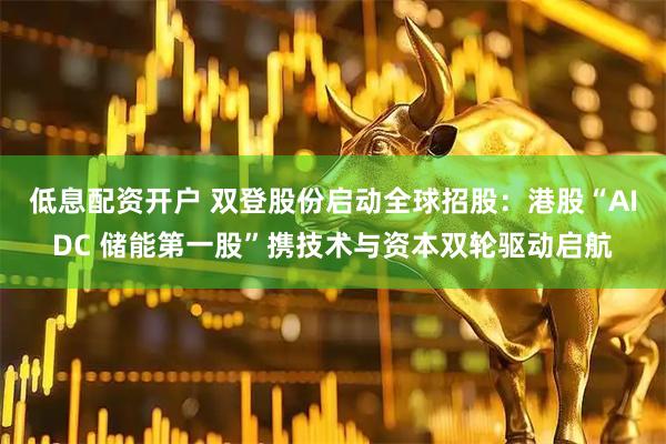 低息配资开户 双登股份启动全球招股：港股“AIDC 储能第一股”携技术与资本双轮驱动启航